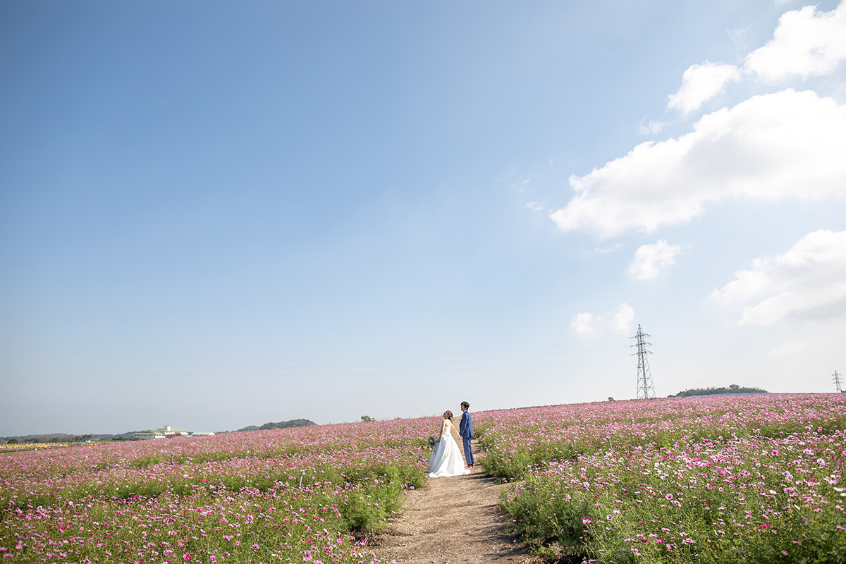 花之廣場/外景地[名古屋/日本]