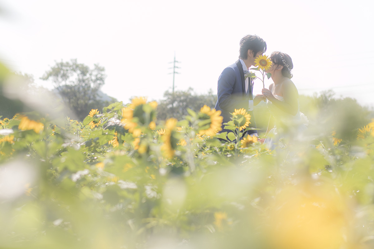 花之廣場/外景地[名古屋/日本]