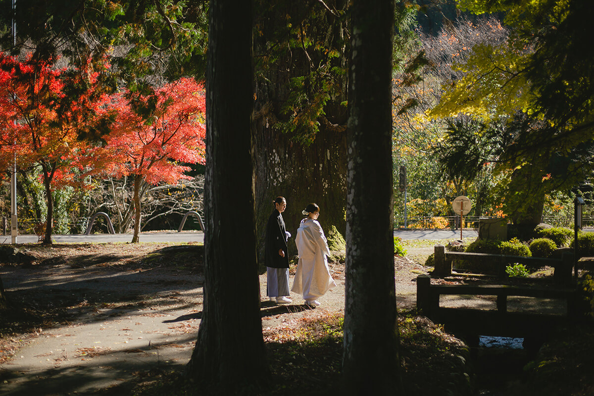 郡上八幡・古今伝授之里/外景地[名古屋/日本]