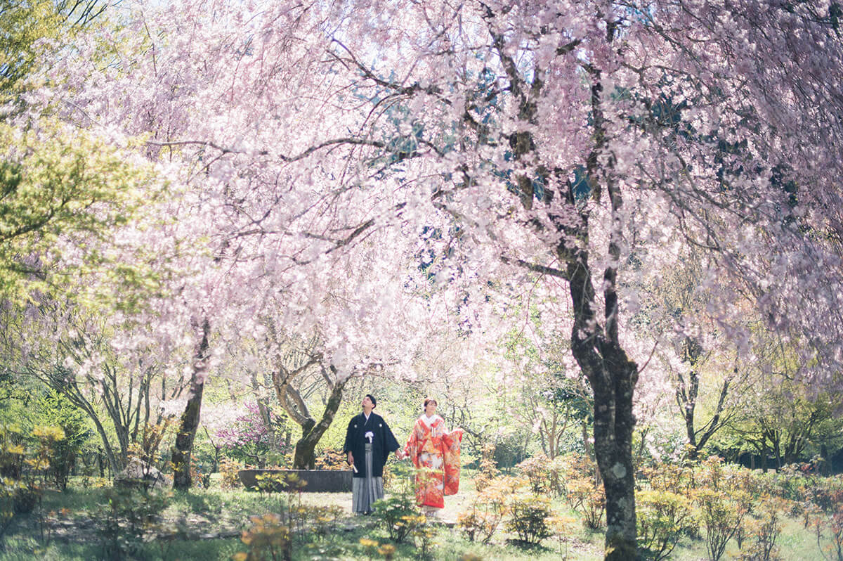 郡上八幡・古今伝授之里/外景地[名古屋/日本]