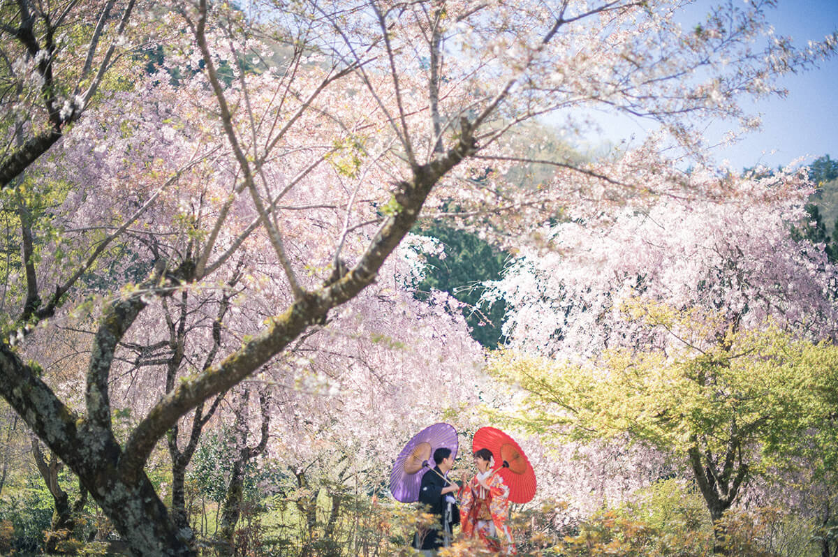 郡上八幡・古今伝授之里/外景地[名古屋/日本]