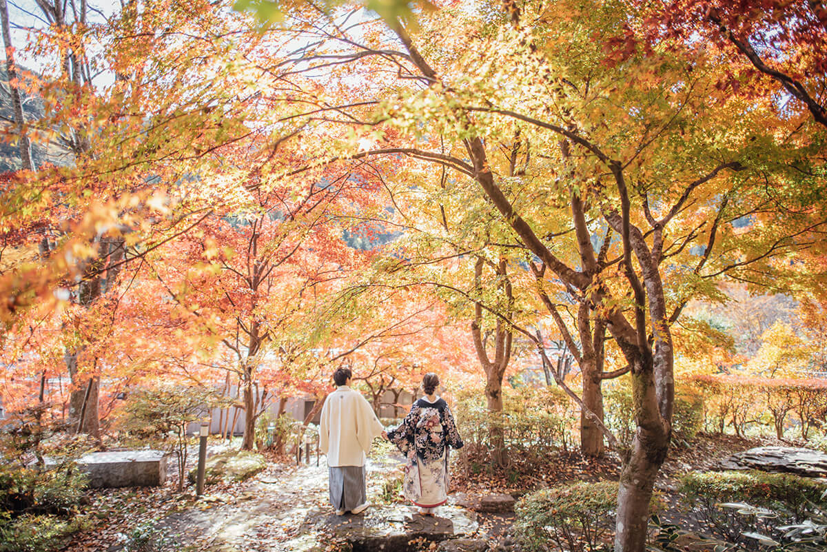 郡上八幡・古今伝授之里/外景地[名古屋/日本]