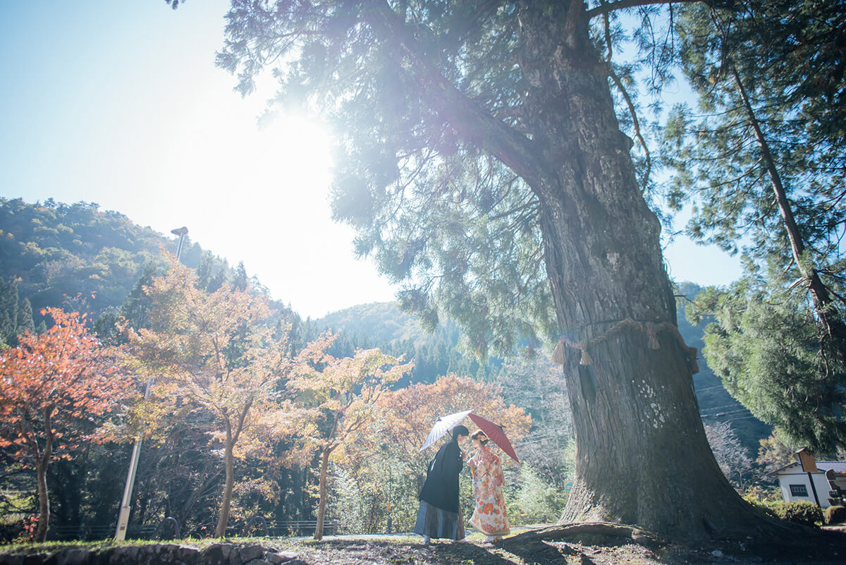 郡上八幡・古今伝授之里/外景地[名古屋/日本]