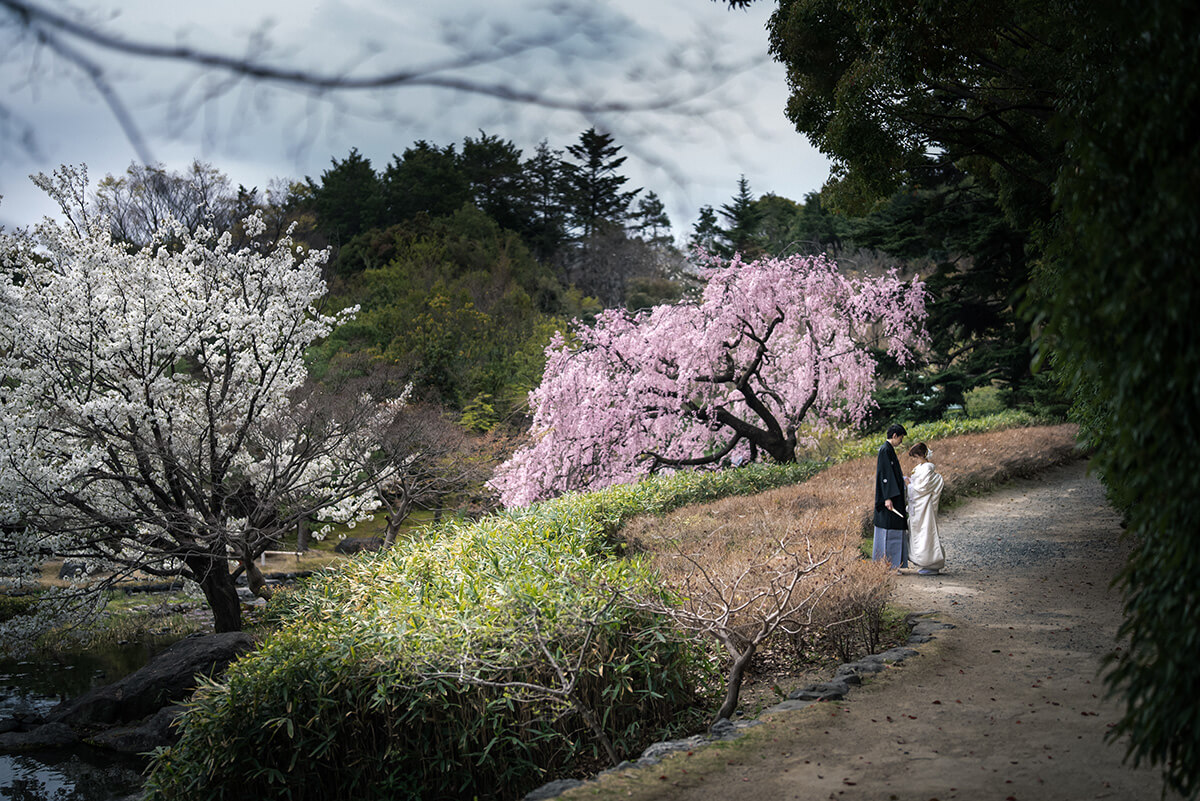 白鳥庭院