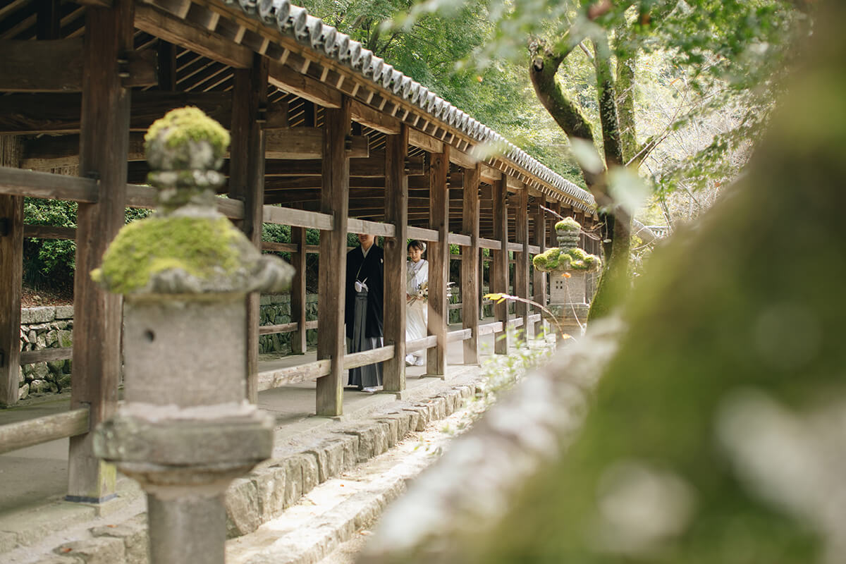 吉備津神社/外景地[岡山/日本]