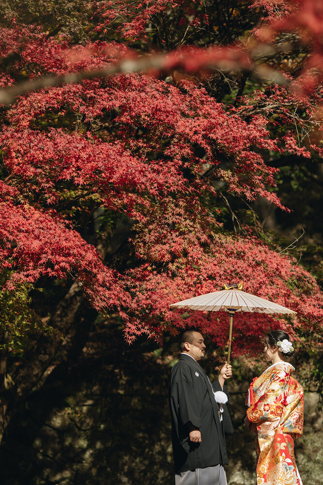 閑谷学校/外景地[岡山/日本]