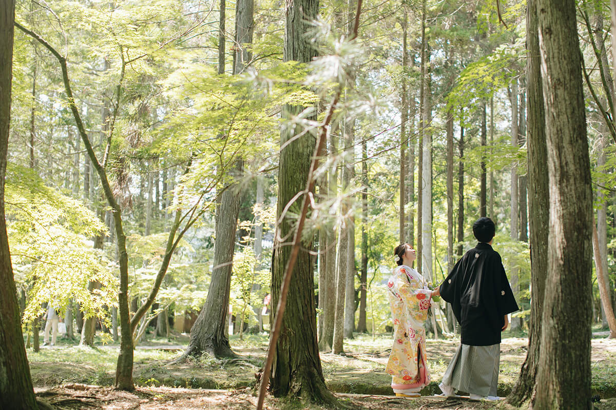 曹源寺