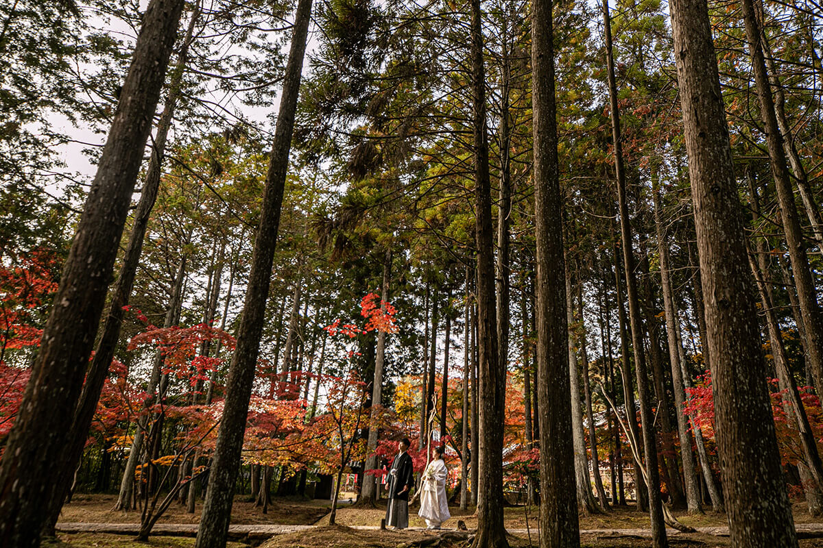 曹源寺/外景地[岡山/日本]