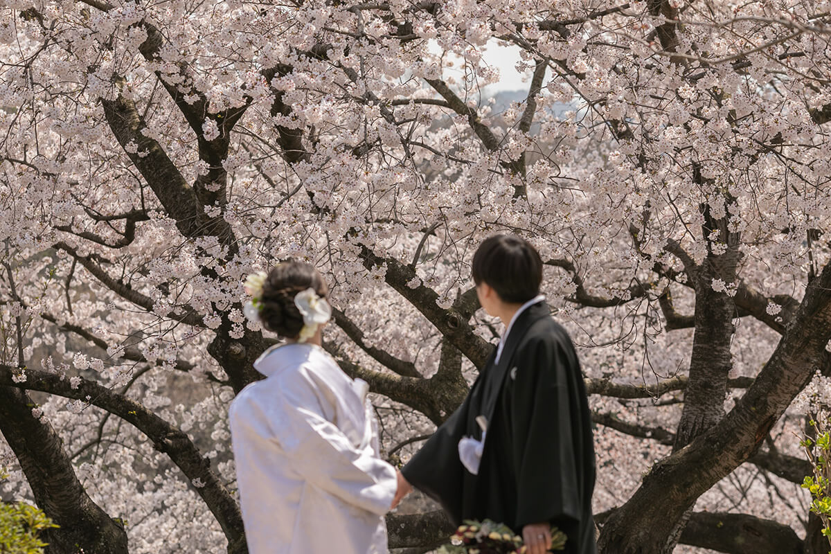 種松山公園/外景地[岡山/日本]