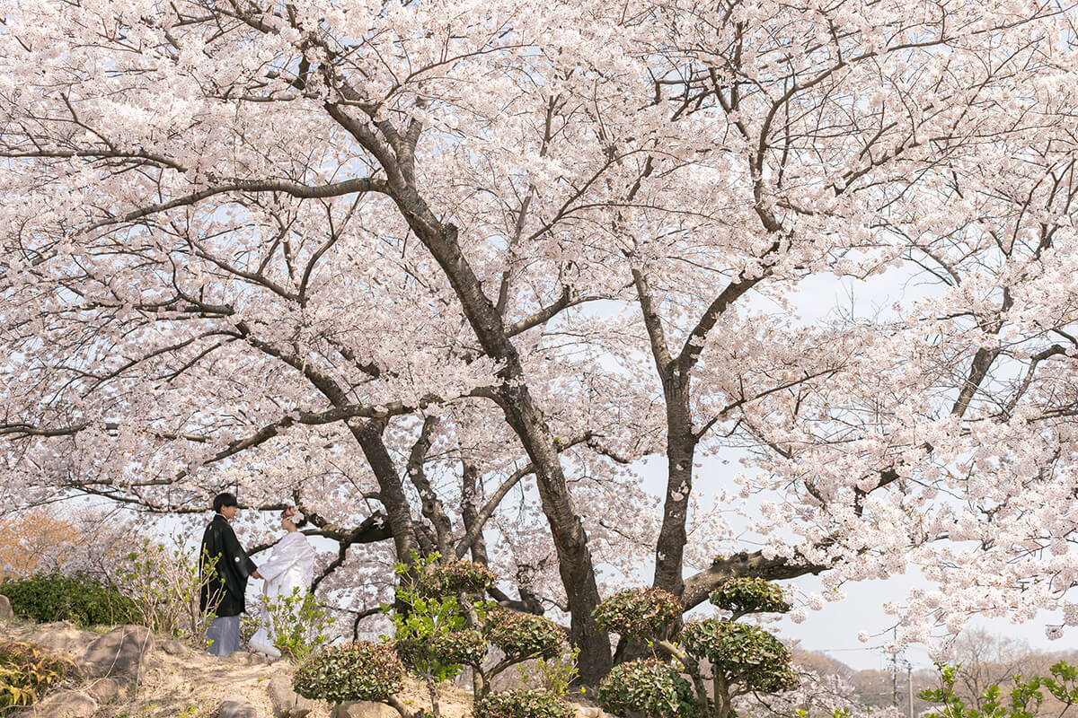 種松山公園/外景地[岡山/日本]