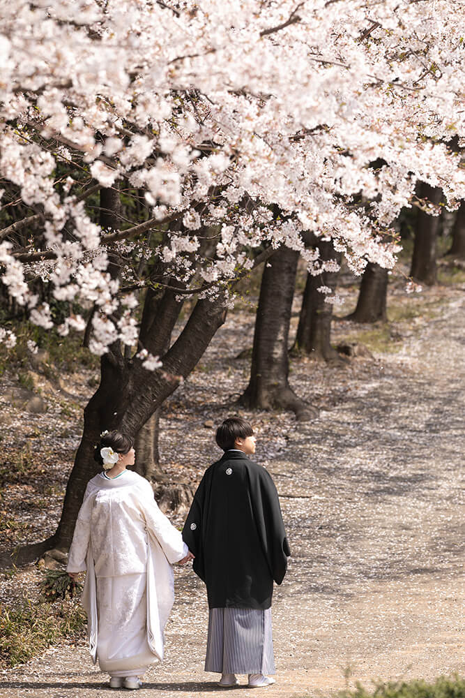 種松山公園/外景地[岡山/日本]