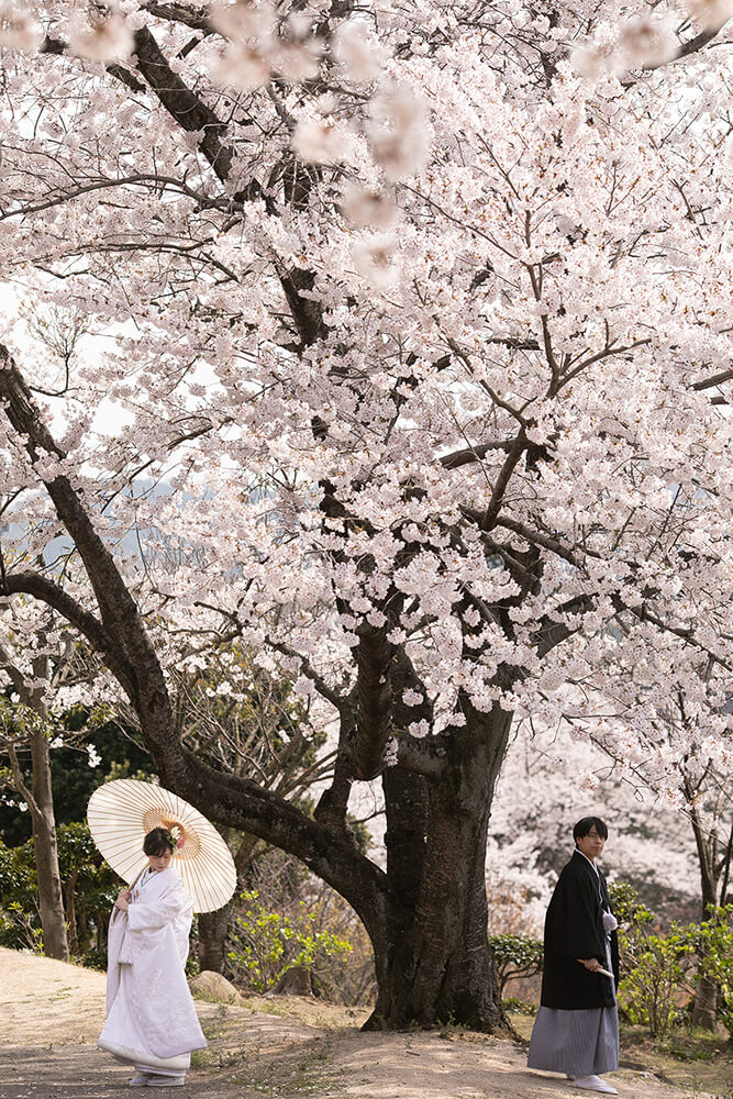 種松山公園/外景地[岡山/日本]