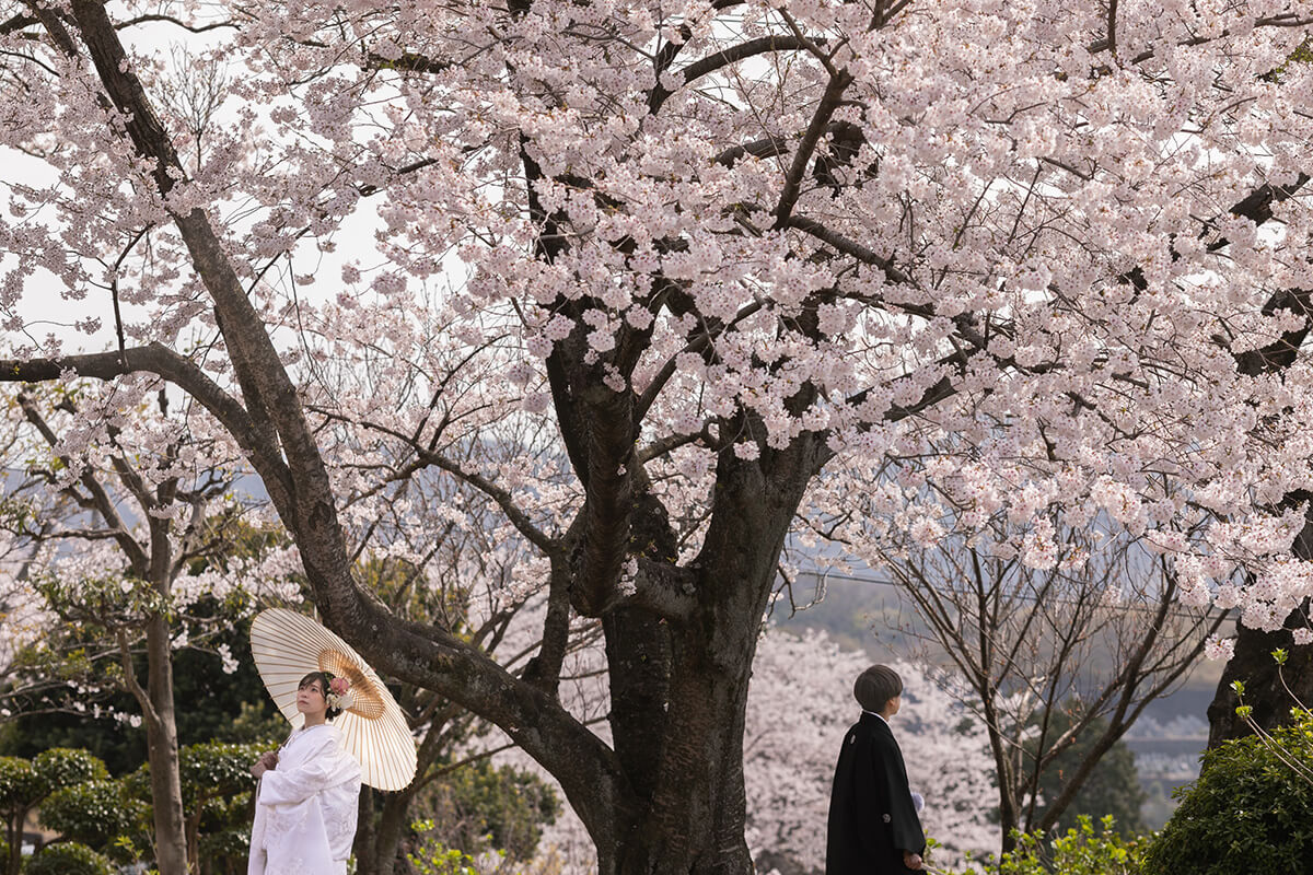 種松山公園/外景地[岡山/日本]