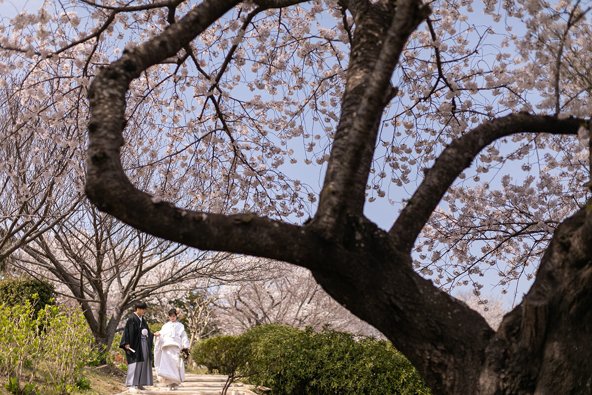 種松山公園/外景地[岡山/日本]