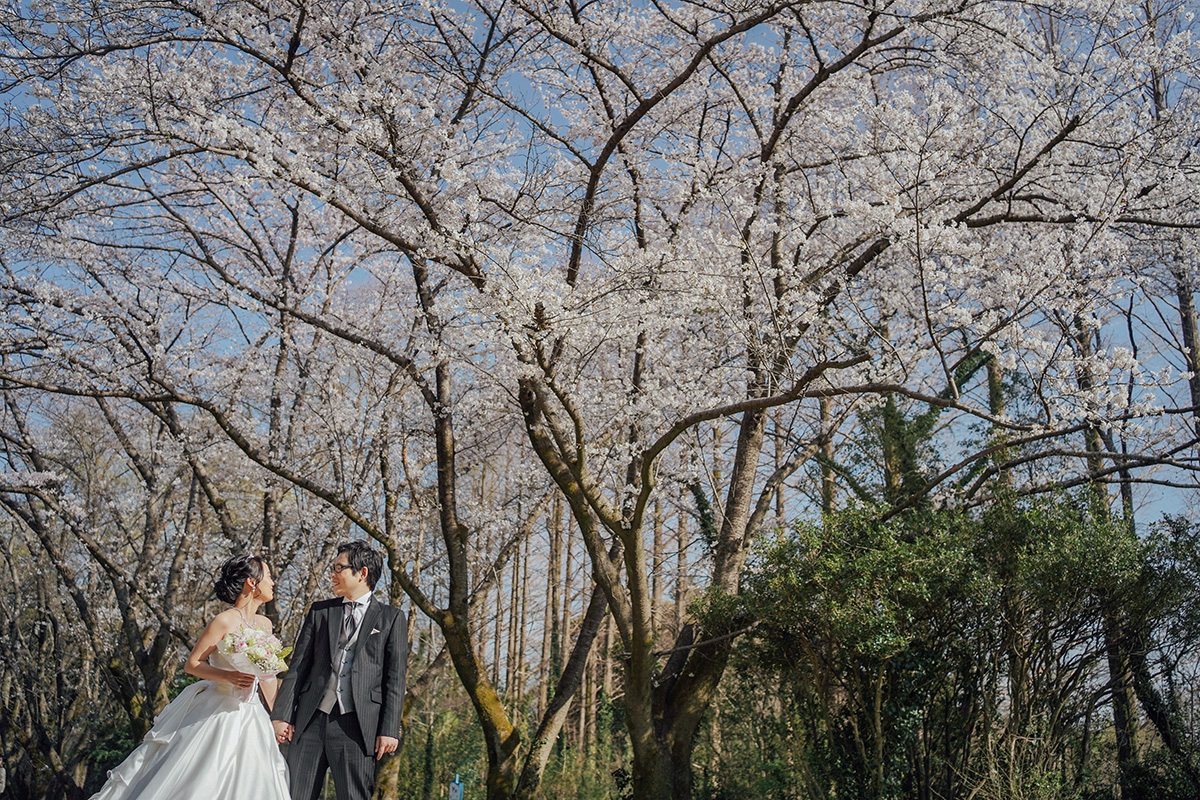 秋ヶ瀬公園