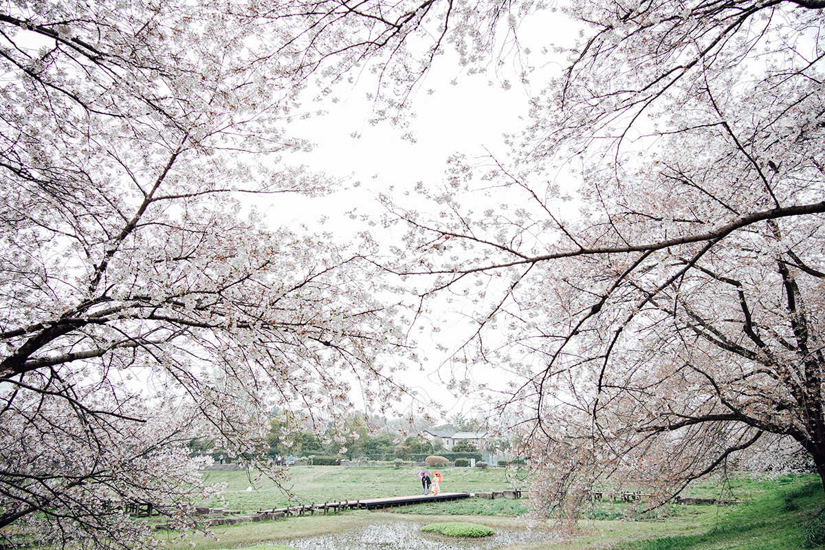 大宮第二公園/外景地[大宮/日本]