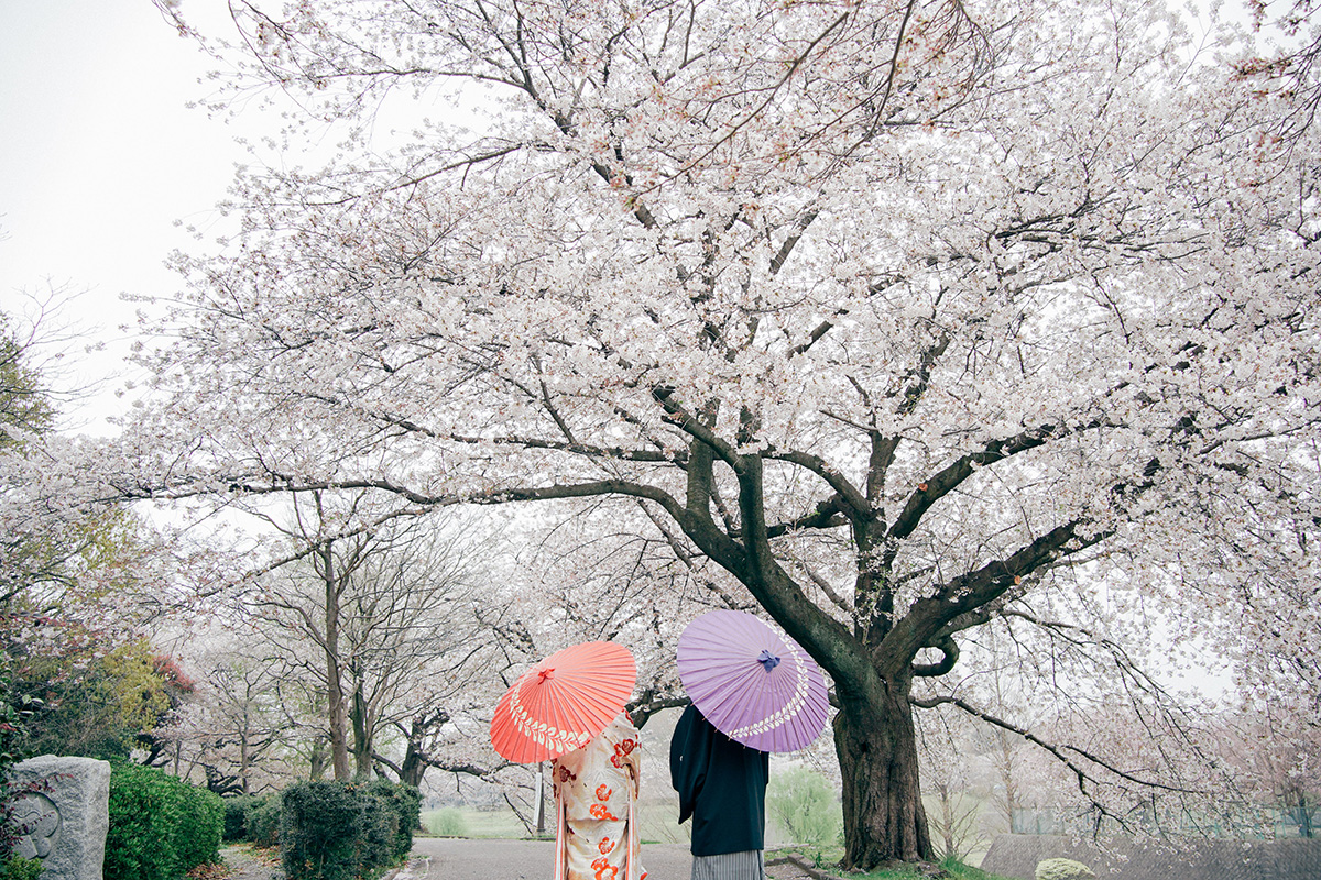 大宮第二公園