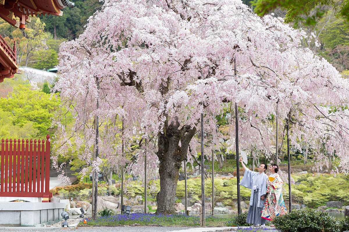 勝尾寺/外景地[大阪/日本]