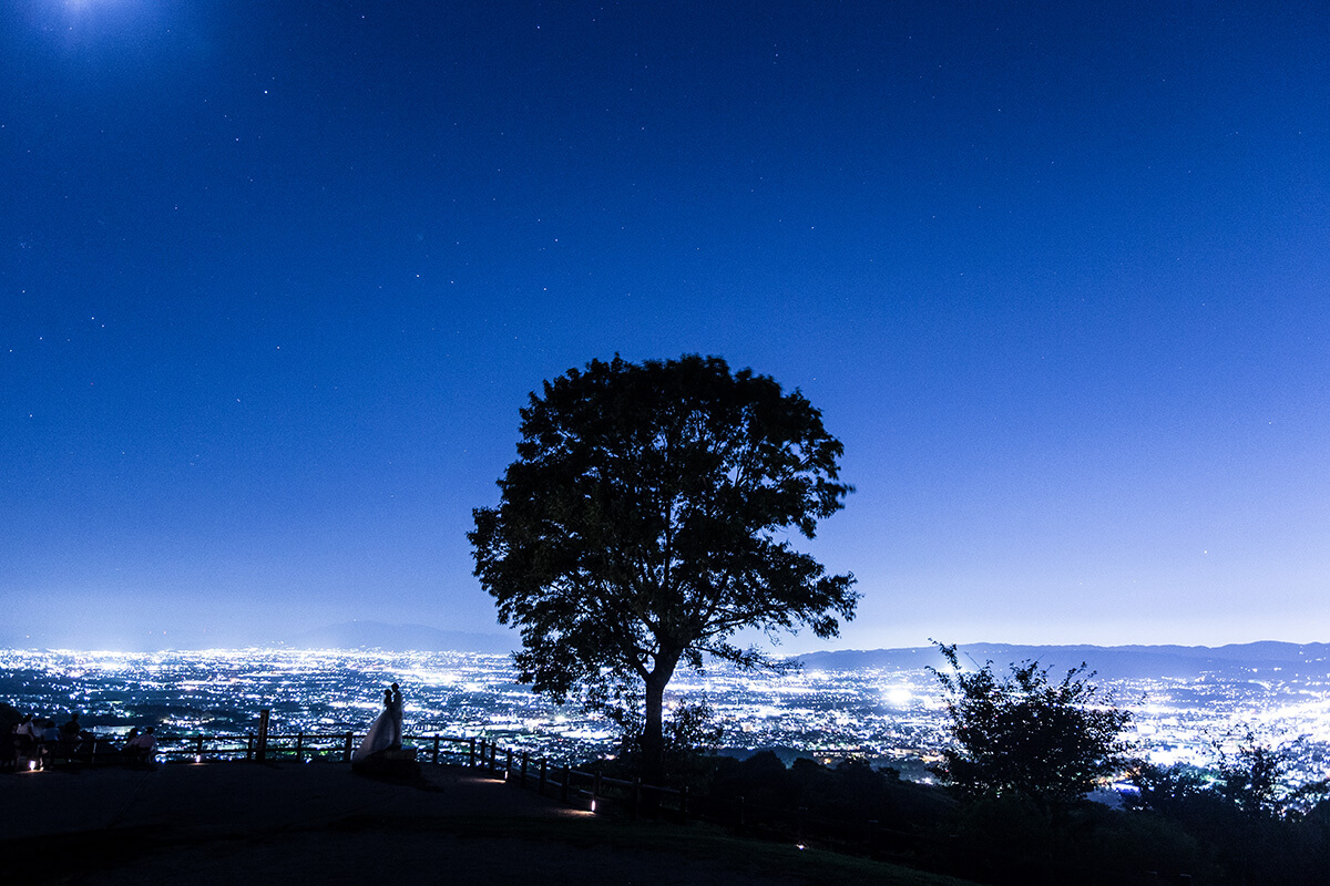 若草山/外景地[奈良/日本]