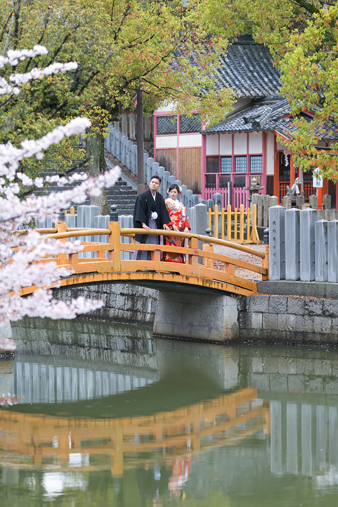 中百舌鳥八幡宮/外景地[大阪/日本]