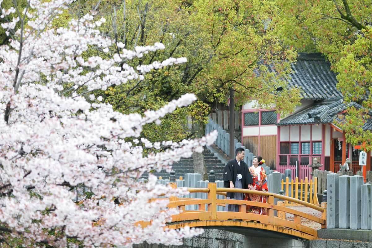 中百舌鳥八幡宮/外景地[大阪/日本]