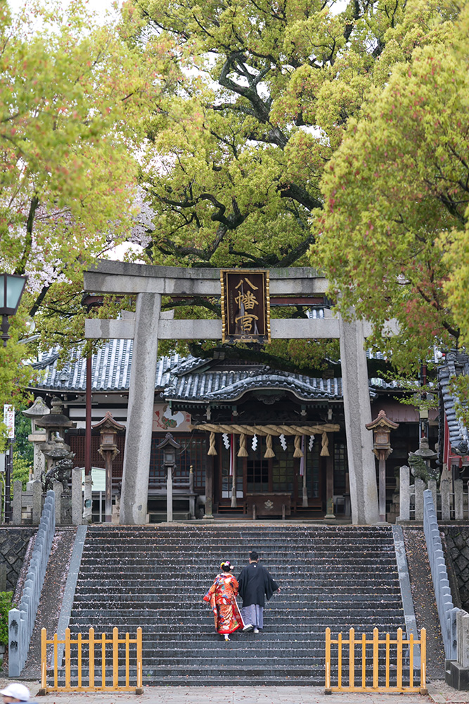 中百舌鳥八幡宮/外景地[大阪/日本]