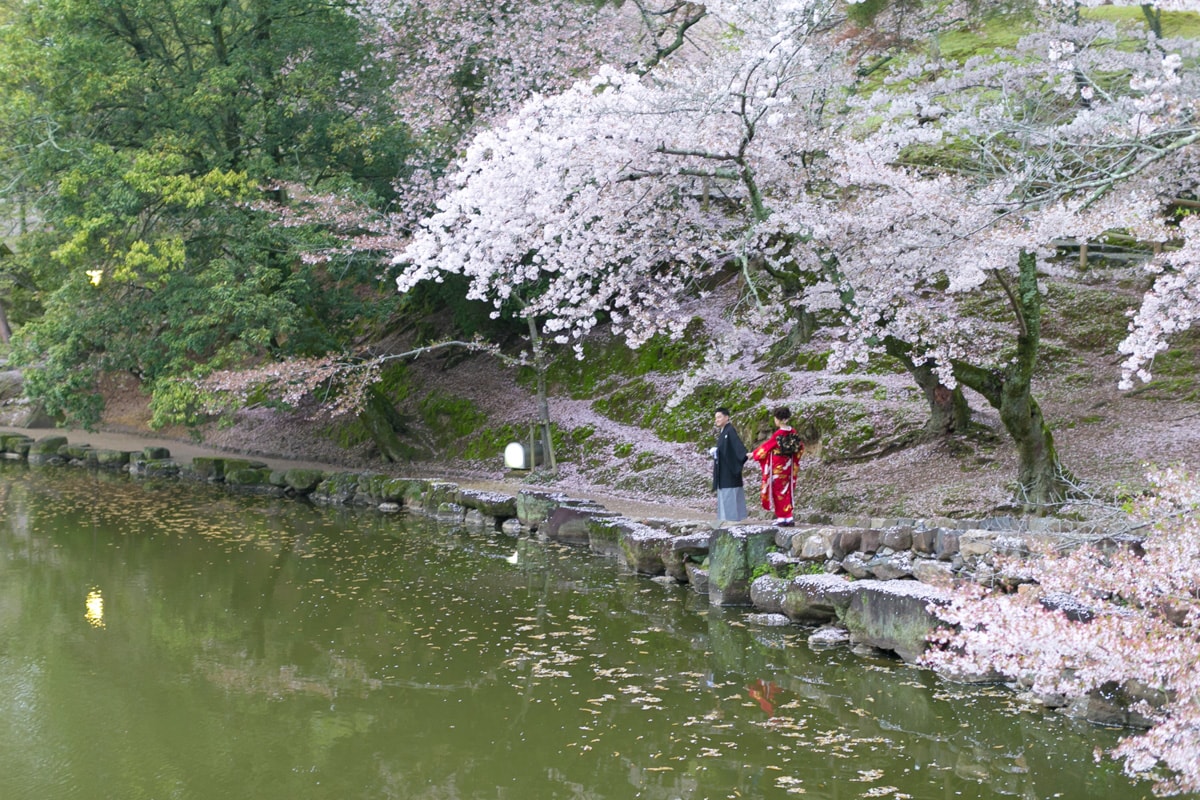 奈良公園