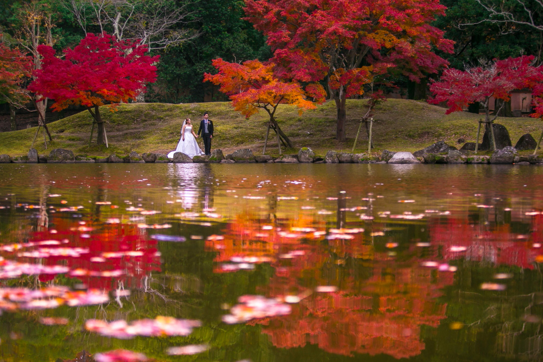 奈良公園