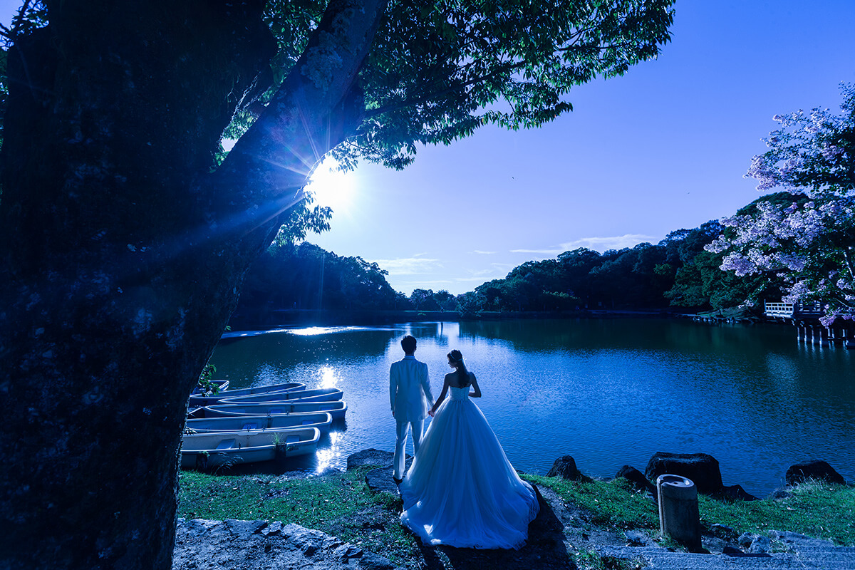 奈良公園/外景地[奈良/日本]