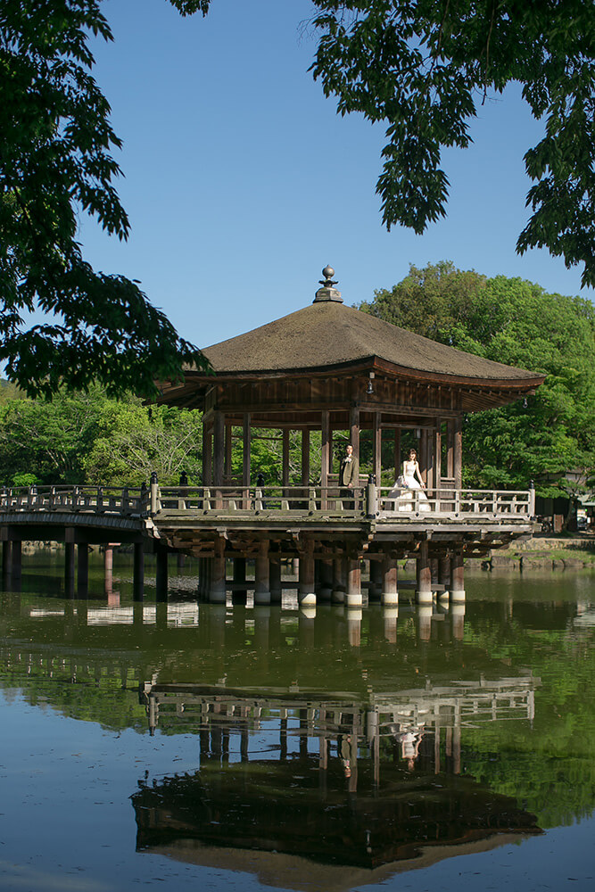 奈良公園/外景地[奈良/日本]