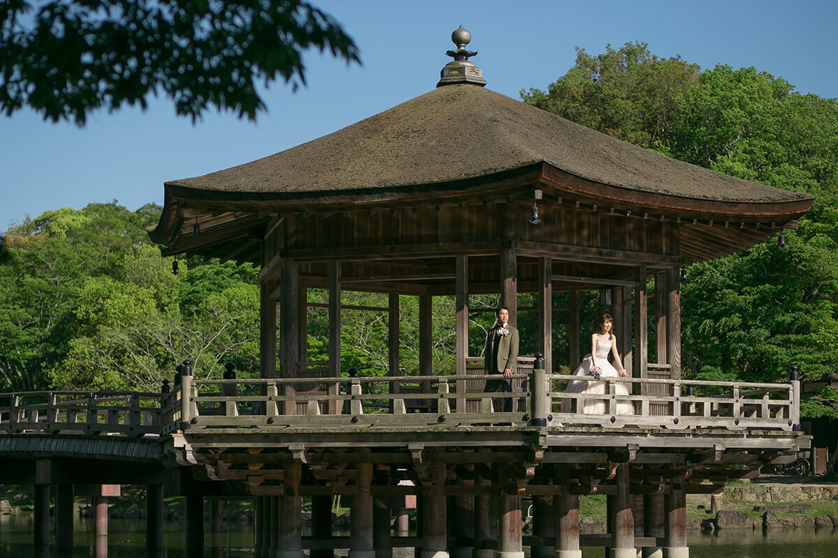 奈良公園/外景地[奈良/日本]