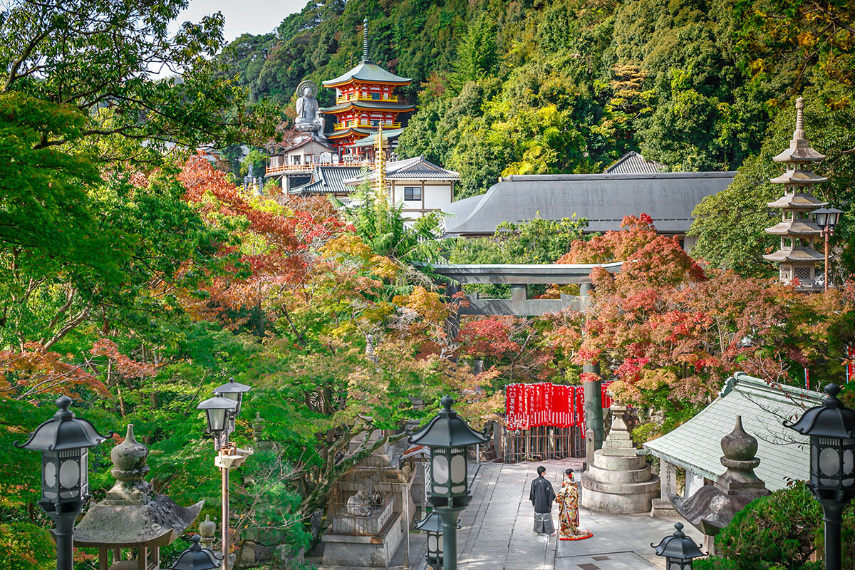 朝護孫子寺/外景地[大阪/日本]