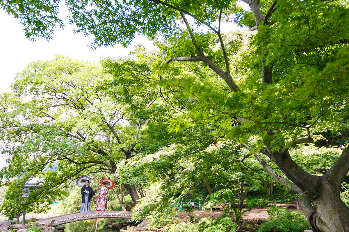 肥後細川庭園/外景地[東京/日本]