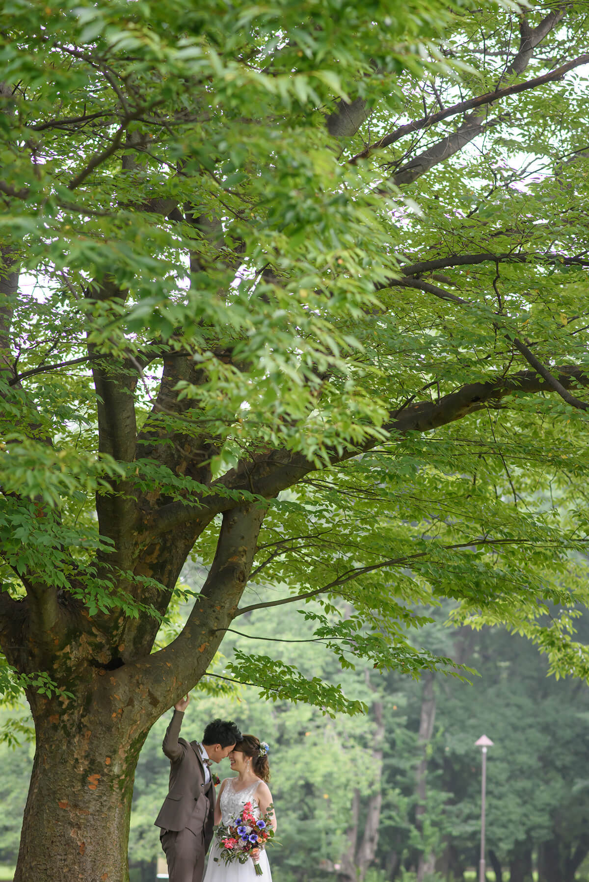 砧公園/外景地[東京/日本]