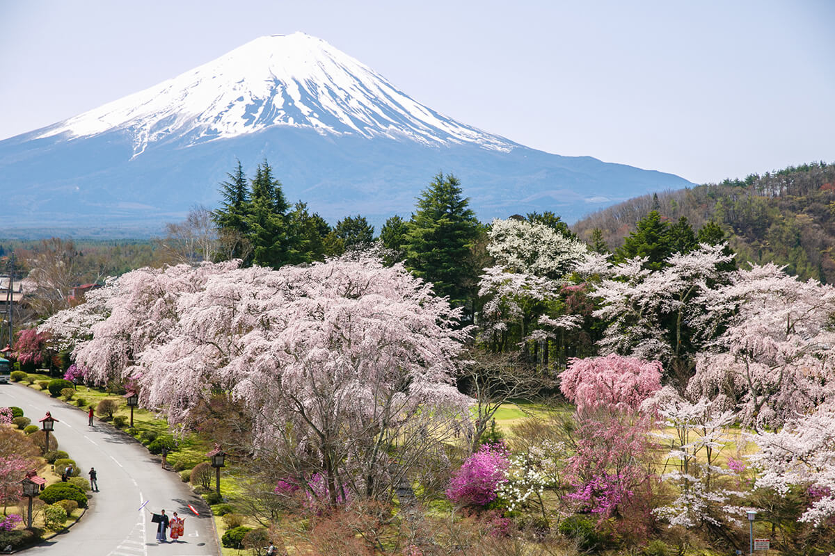 富士山/外景地[東京/日本]