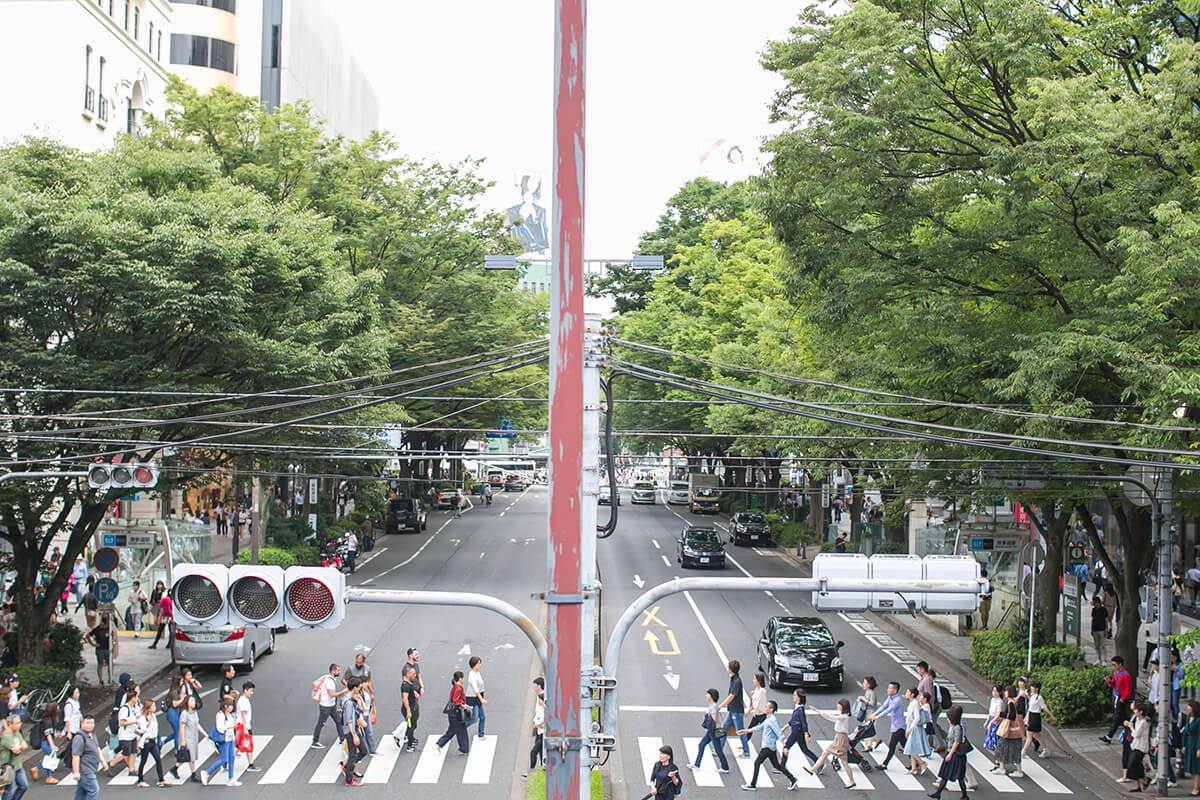 表參道/外景地[東京/日本]