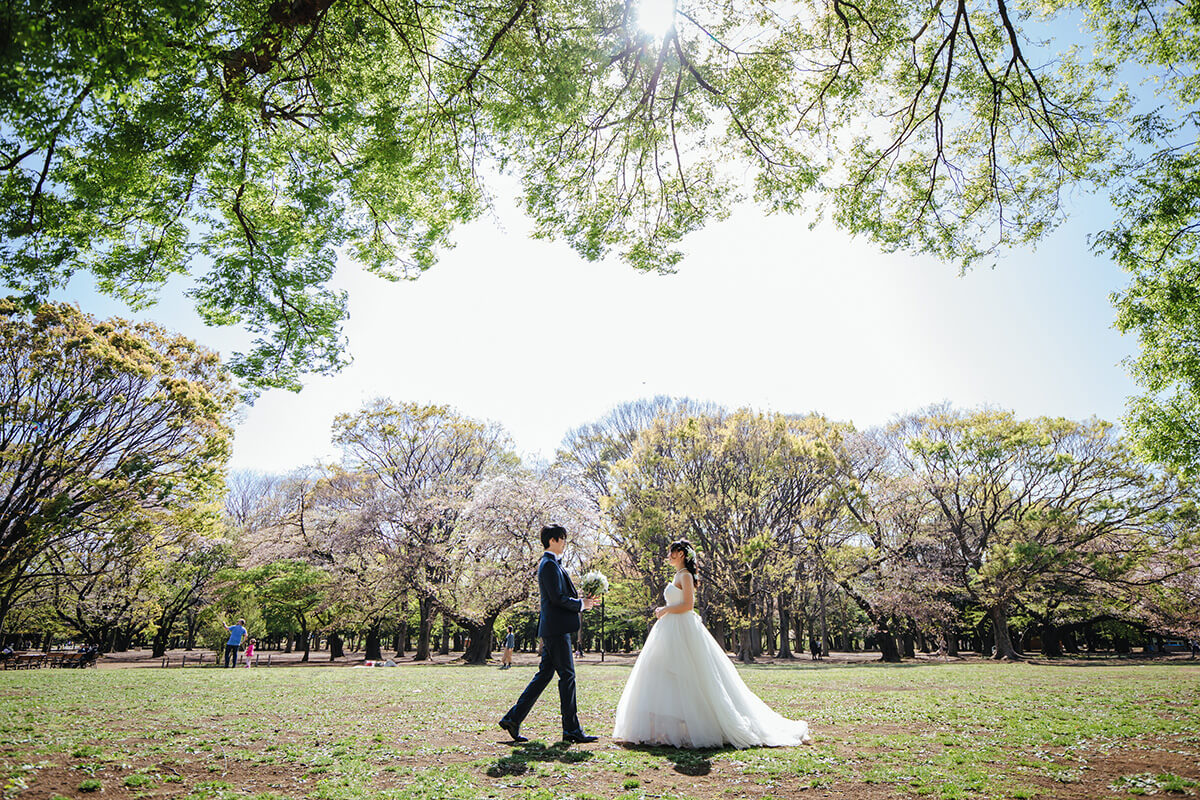 代代木公園/外景地[東京/日本]