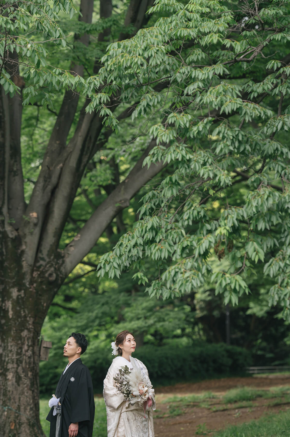 代代木公園/外景地[東京/日本]