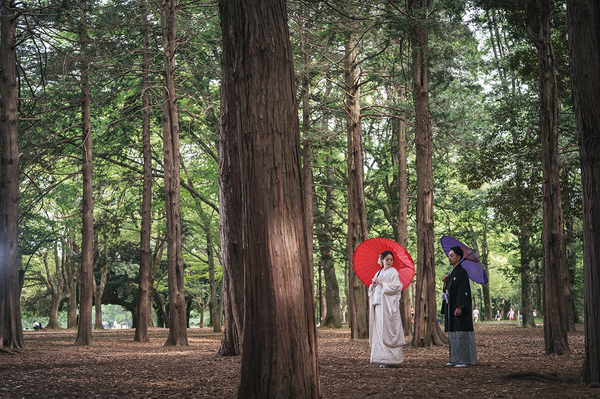 代代木公園/外景地[東京/日本]