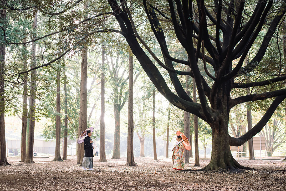 代代木公園/外景地[東京/日本]