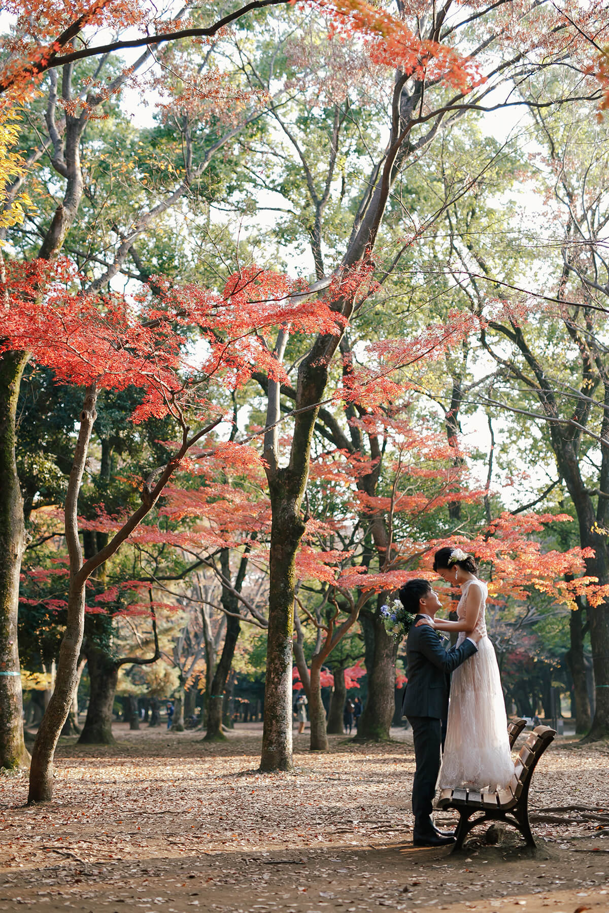 代代木公園/外景地[東京/日本]