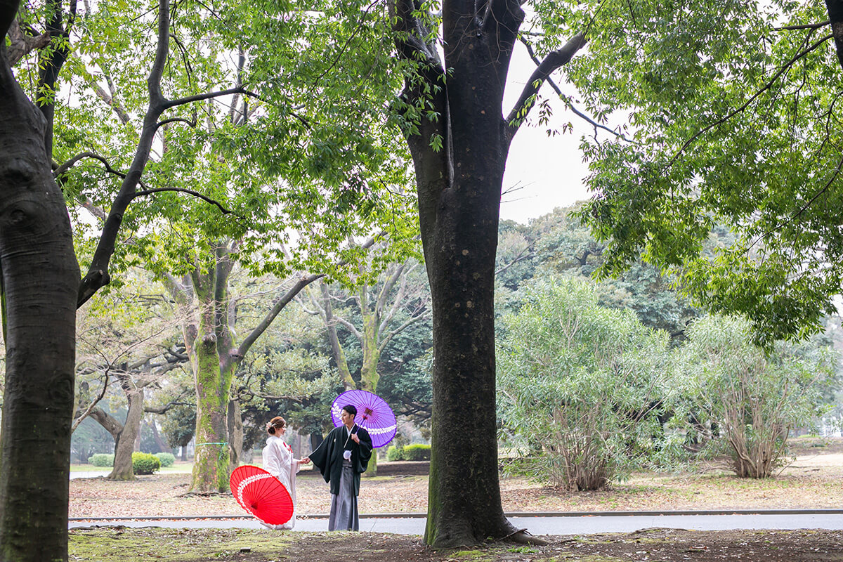 代代木公園/外景地[東京/日本]