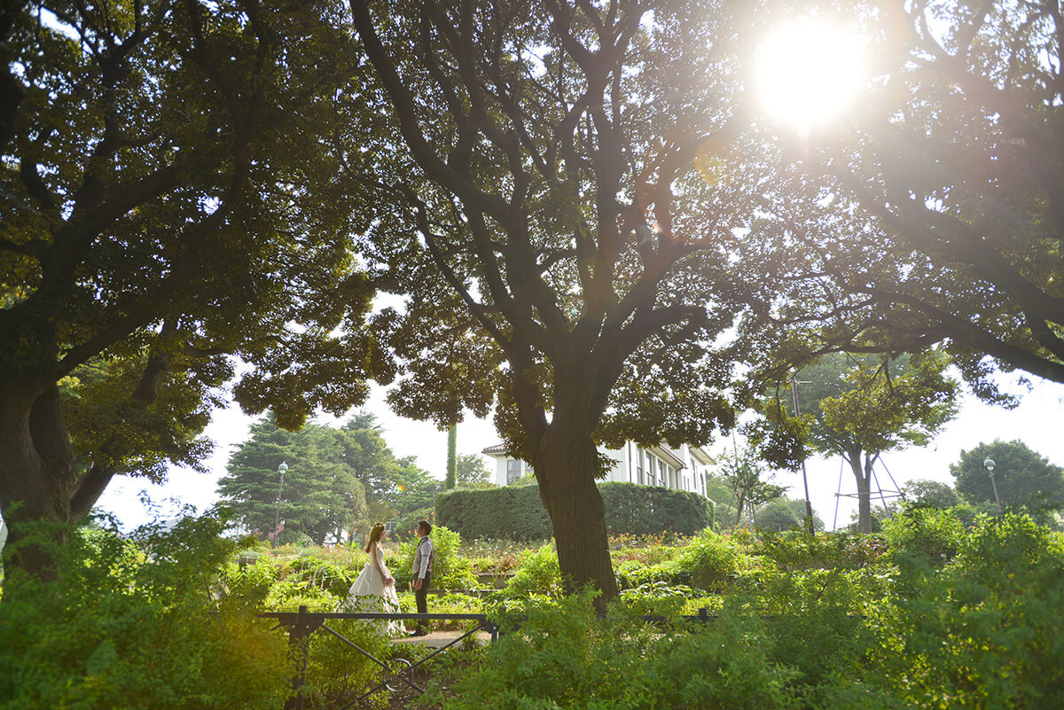 見港灣丘公園/外景地[橫濱/日本]