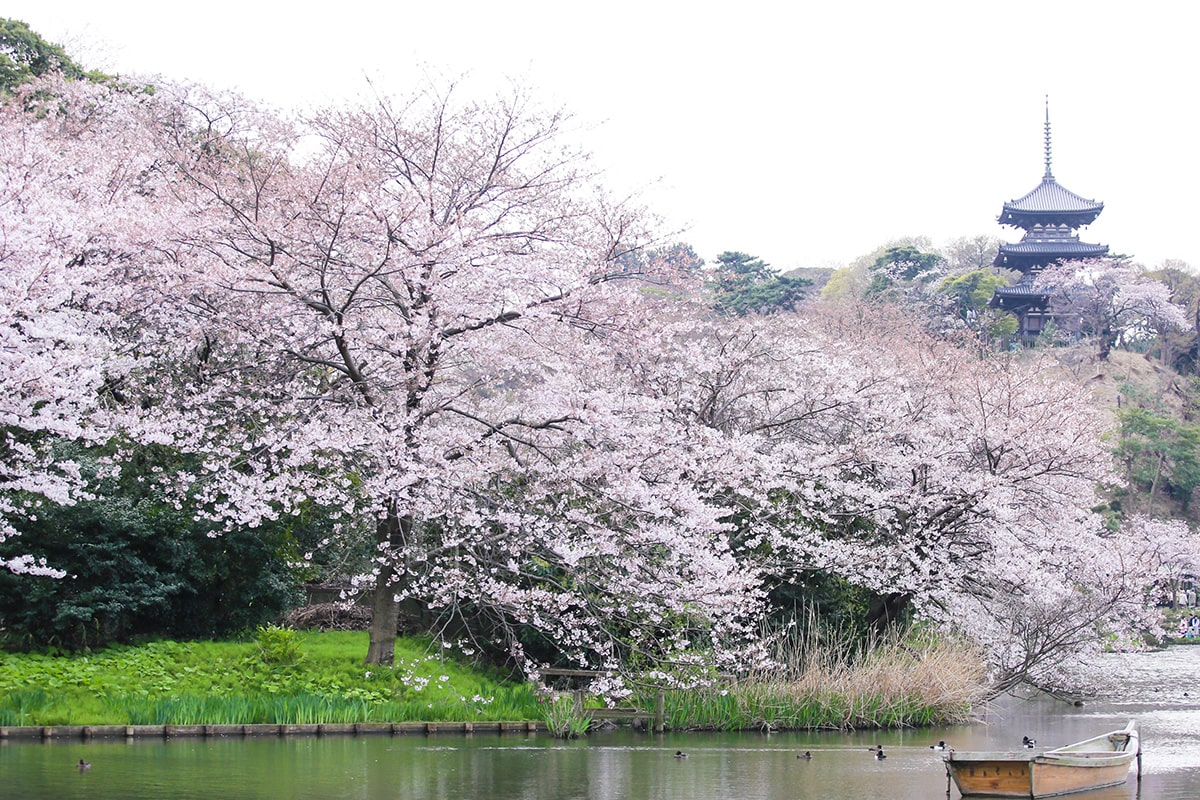 三溪園