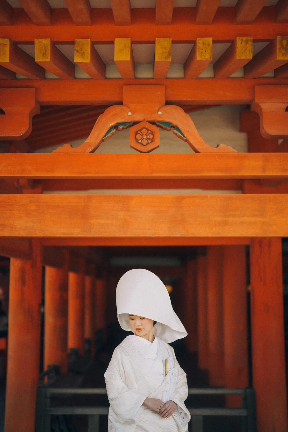 攝影師-廣島-/tanakame[廣島/日本]