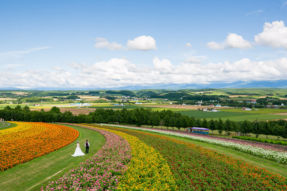 攝影師-北海道-/NAOTO[北海道/日本]