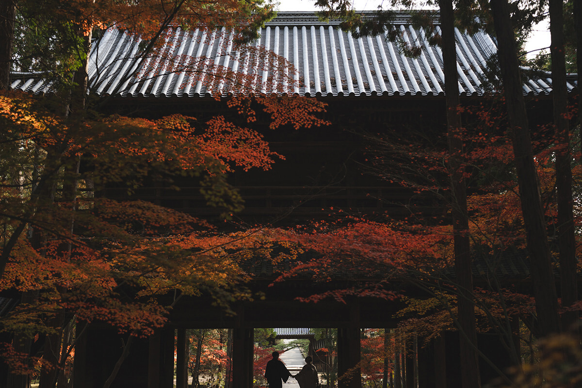 攝影師-岡山-/kaneda[岡山/日本]