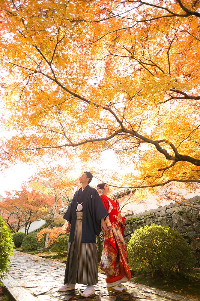 [AUTUMN] 京都