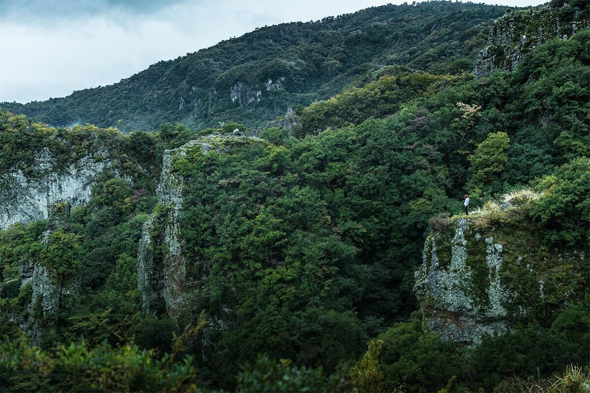 [AUTUMN] 小豆島